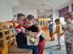 większy obrazek nr 13