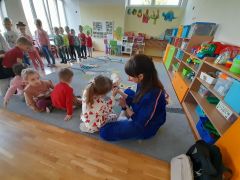 większy obrazek nr 6