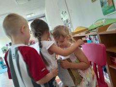 większy obrazek nr 19