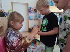 większy obrazek nr 14