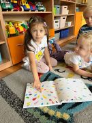 większy obrazek nr 1