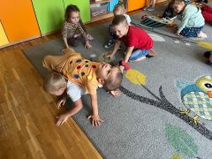 większy obrazek nr 6