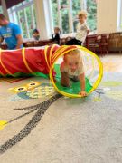 większy obrazek nr 5