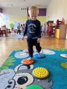 większy obrazek nr 12