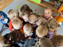 większy obrazek nr 19