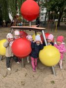 większy obrazek nr 12