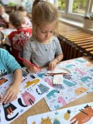 większy obrazek nr 7