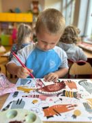 większy obrazek nr 19