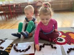 większy obrazek nr 1