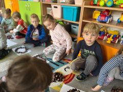 większy obrazek nr 5