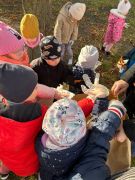 większy obrazek nr 1