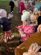 większy obrazek nr 2