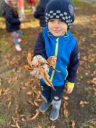 ilustracja do wpisu 
„Ratujmy kasztany”