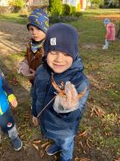 większy obrazek nr 8