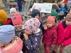 większy obrazek nr 9