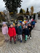 większy obrazek nr 10