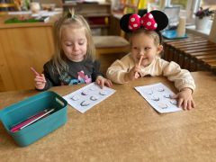 większy obrazek nr 9