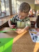 większy obrazek nr 11