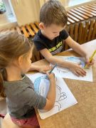 większy obrazek nr 10