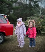 większy obrazek nr 29