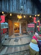 większy obrazek nr 65