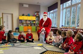 większy obrazek nr 2