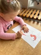 większy obrazek nr 16