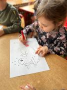 większy obrazek nr 17