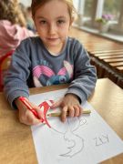 większy obrazek nr 18