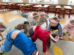 większy obrazek nr 9