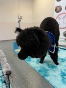 większy obrazek nr 4