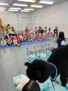 większy obrazek nr 7