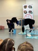 większy obrazek nr 8