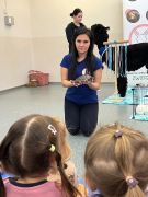 większy obrazek nr 9