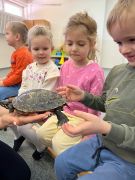 większy obrazek nr 17