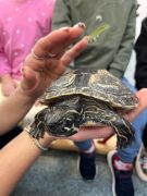 większy obrazek nr 19