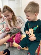 większy obrazek nr 21