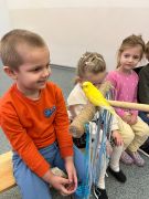 większy obrazek nr 27