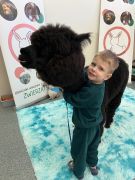 większy obrazek nr 31