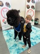 większy obrazek nr 35