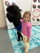 większy obrazek nr 37