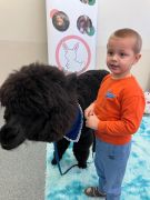 większy obrazek nr 39