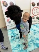 większy obrazek nr 40