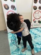 większy obrazek nr 41