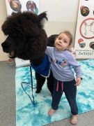 większy obrazek nr 42