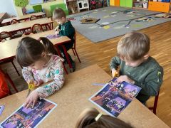 większy obrazek nr 7