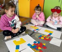 większy obrazek nr 13