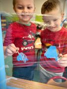 większy obrazek nr 2