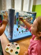 większy obrazek nr 11