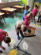 większy obrazek nr 11